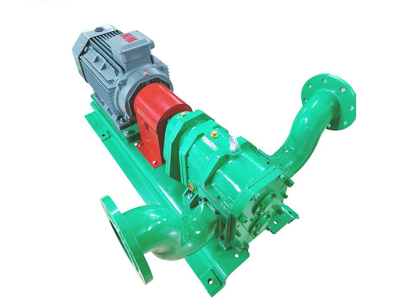 Biogas rotary lobe pump.1