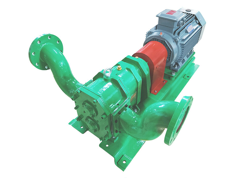 Biogas rotary lobe pump.2