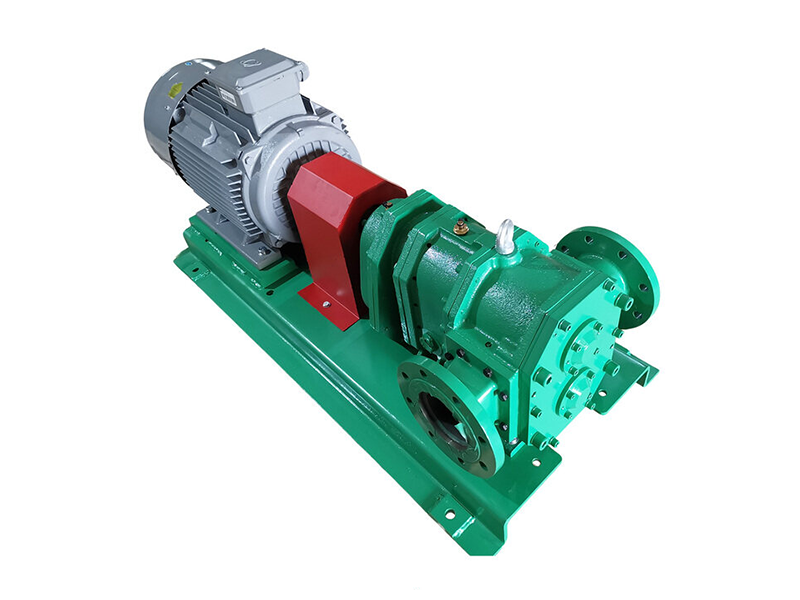 Biogas rotary lobe pump.3