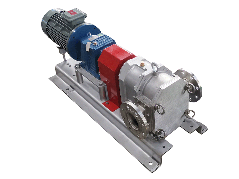 stainless steel rotor pump.1