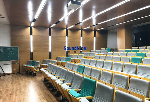 Small lecture hall Installation Grooved Acoustic Panel​​​​​​​ 