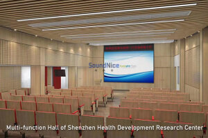 Multi-function Hall of Shenzhen Health Development Research Center