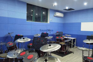 Drum room installation of PET  acoustic panels