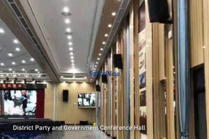 District Party and Government Conference Hall Grooved acoustic panel