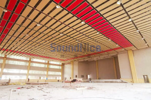 Gymnasium use Flat space Sound absorber