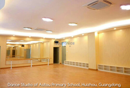 School dance classroom and music room wall installation Grooved Acoustic Panel