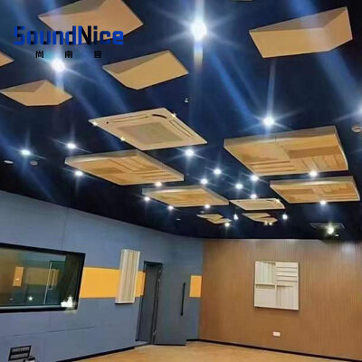 Do Acoustic Panels Really Work?