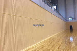 Gymnasium installation grooved acoustic panels
