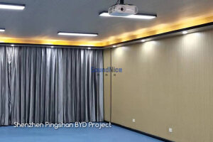 Shenzhen Pingshan BYD Project