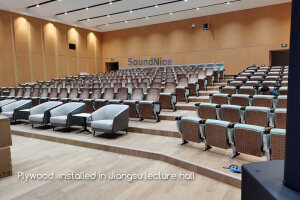 Plywood  installed in Jiangsu lecture hall