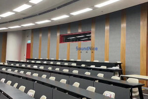 Grooved Acoustic Panel and PET Acoustic Panel for wall installation of school amphitheatre