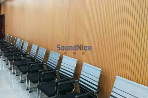 grooved  acoustic panels used in the conference hall