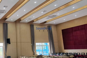 Guangxi Guilin School Report Hall Grooved Acoustic Panel