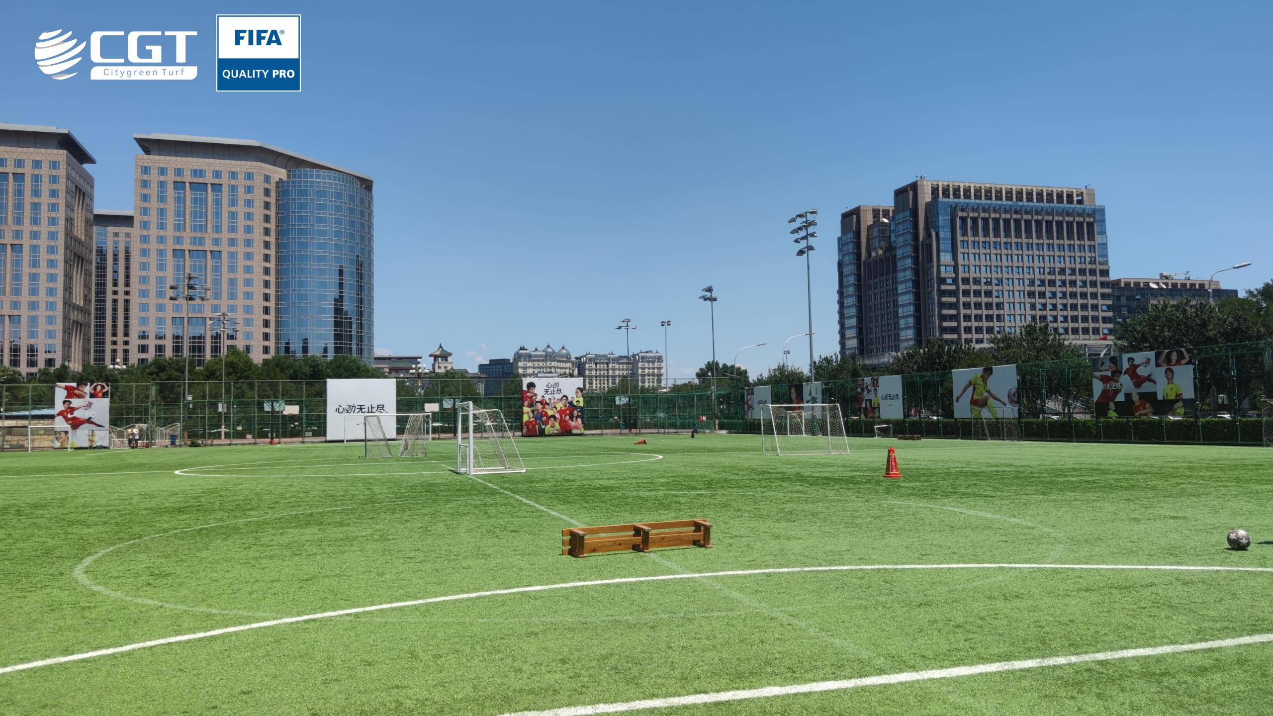 FIFA Approved Artificial Pitch