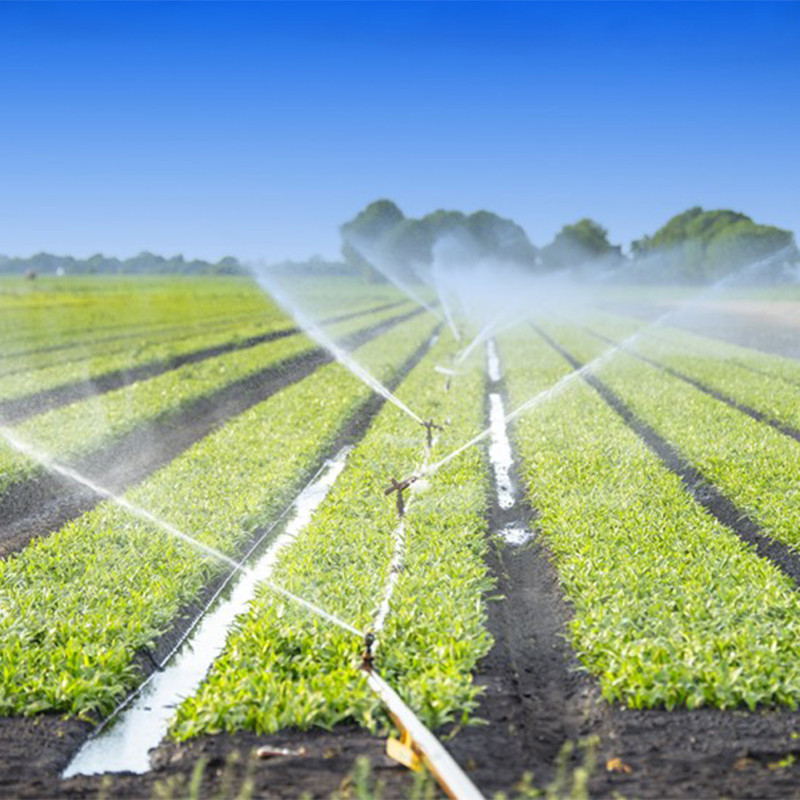 AgriculturalIrrigation System