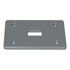 COVER PLATE 1