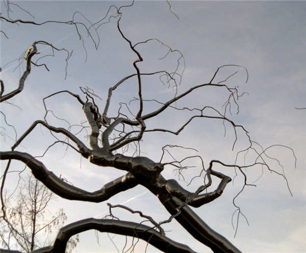 Stainless Steel Christmas Tree Sculpture