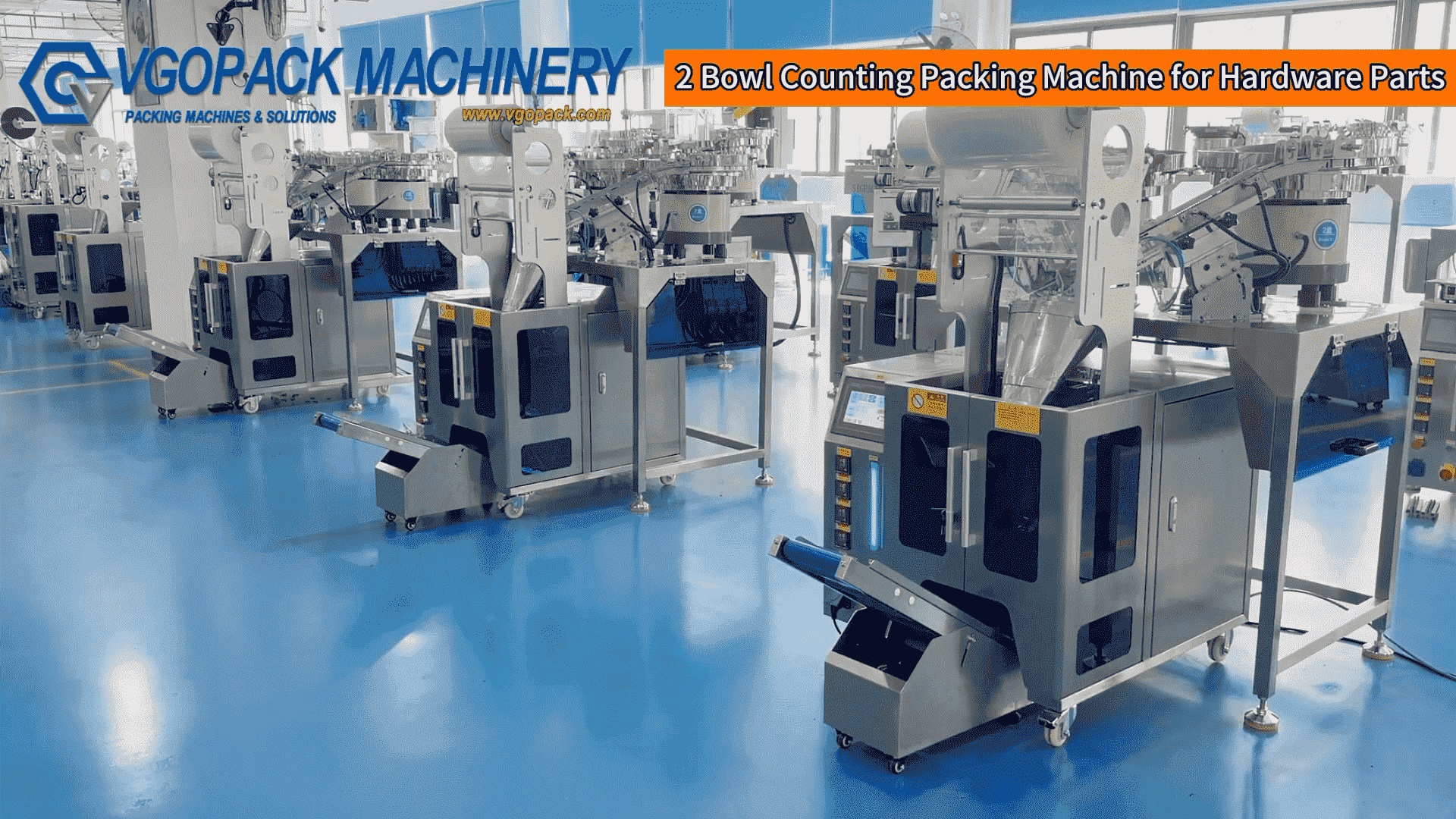 2 Bowl Screw & Bolt Packing Machine | Automatic Counting & Back Seal Packaging