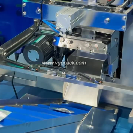 2 Bowls Counting Packing Machine-Capsule (7)