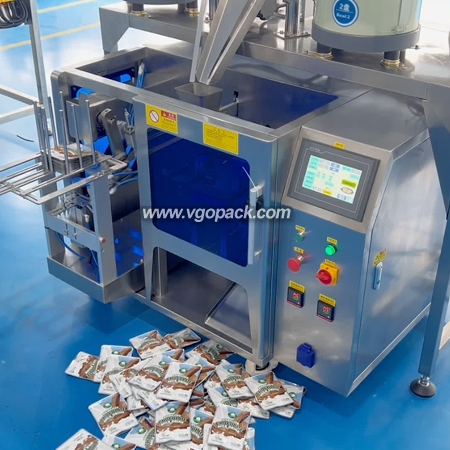 2 Bowls Premade Bag Counting Packing Machine-Capsule (2)