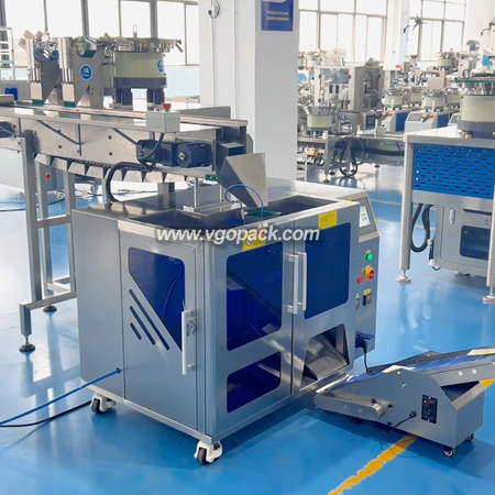 2 Bowls Premade Bag Counting Packing Machine with Manual Feeding Bucket Conveyor -Hardware Parts (2)
