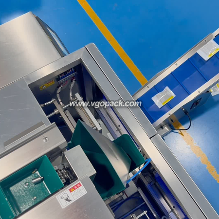 2 Bowls Premade Bag Counting Packing Machine with Manual Feeding Bucket Conveyor -Hardware Parts (4)