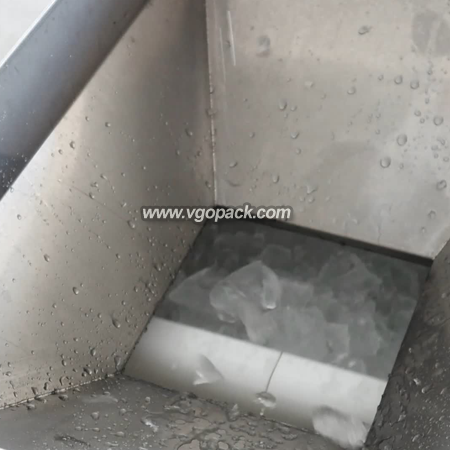 2 Heads Auger Weigher Weighing Packing Machine-Ice (2)