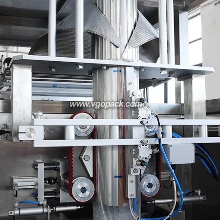 2 Heads Auger Weigher Weighing Packing Machine-Ice (5)