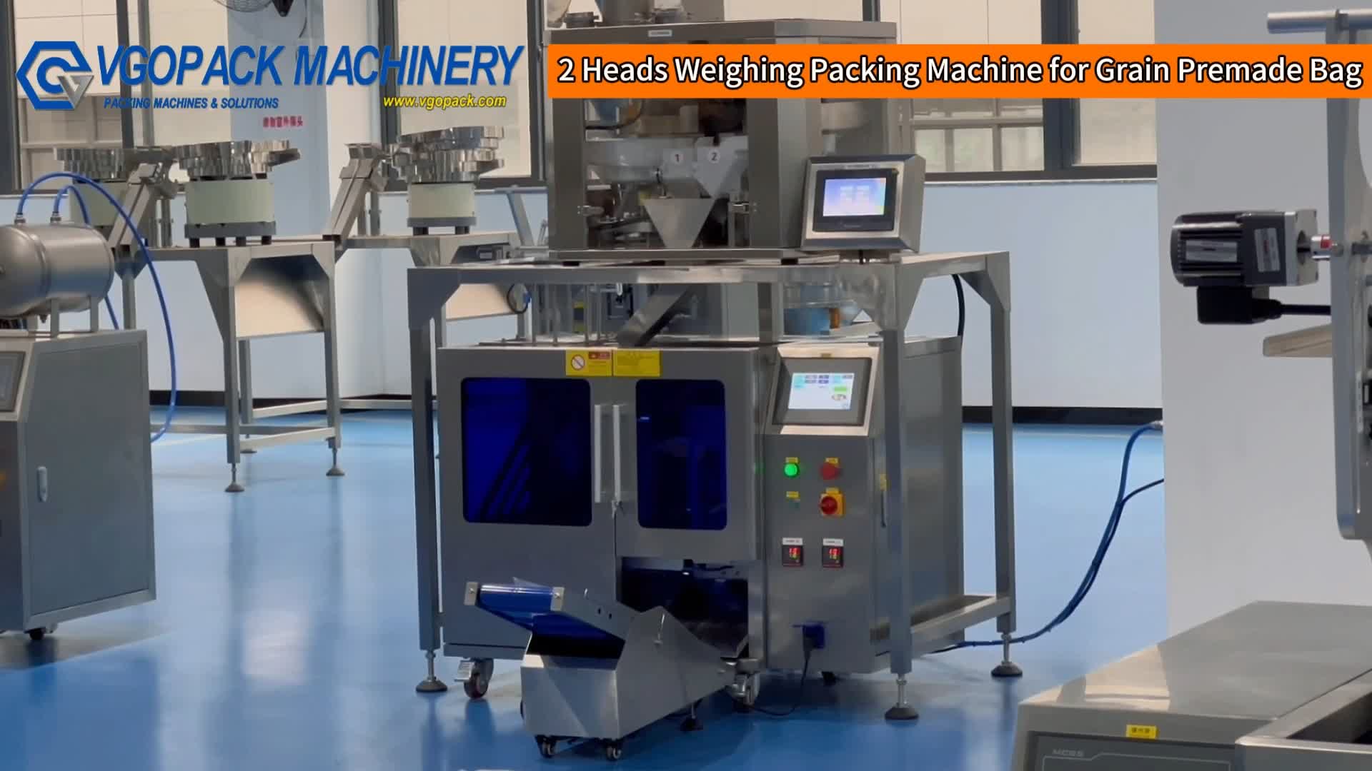 Grain | Pre-made Bag | 2 Heads Electronic Weigher Weighing Packing Machine