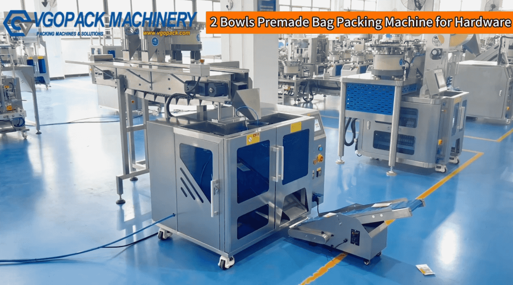 2 Vibration Bowls Pre-made Bag Counting Packing Machine with Manual Feeding Bucket Conveyor