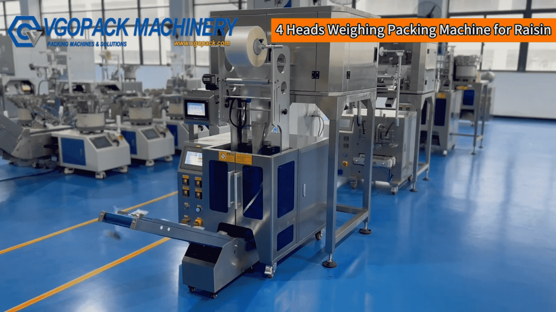 4 Heads Electronic Weigher Weighing Packing Machine for Raisins