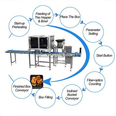 4 Heads Electronic Weigher Weighing & Single Bowl Counting Cartoning Line-Dry Fruits (10)