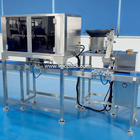 4 Heads Electronic Weigher Weighing & Single Bowl Counting Cartoning Line-Dry Fruits (1)