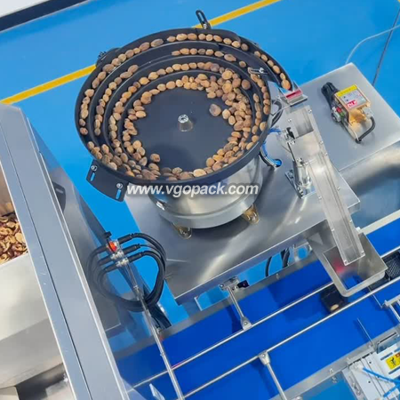4 Heads Electronic Weigher Weighing & Single Bowl Counting Cartoning Line-Dry Fruits (2)