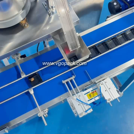4 Heads Electronic Weigher Weighing & Single Bowl Counting Cartoning Line-Dry Fruits (3)