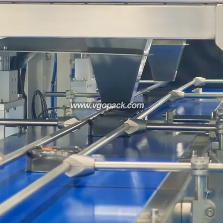 4 Heads Electronic Weigher Weighing & Single Bowl Counting Cartoning Line-Dry Fruits (6)