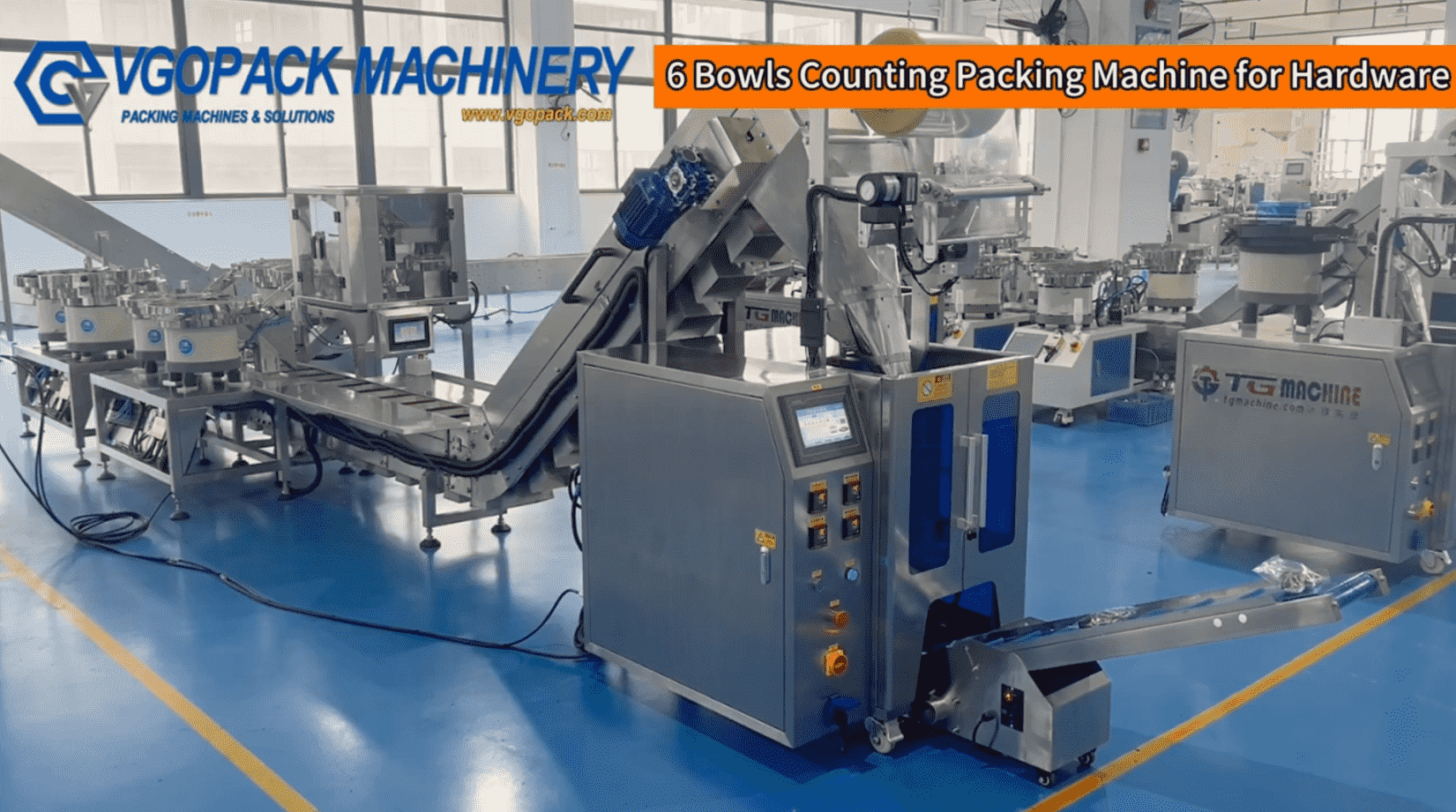 6 Bowls Counting & 2 Heads Weighing Packing Machine For Hardware Kit