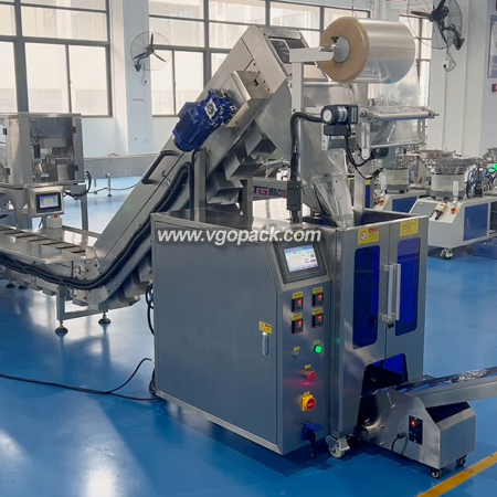 6 Bowls Counting & 2 Heads Weighing Packing Machine with Bucket Conveyor-Hardware (1)