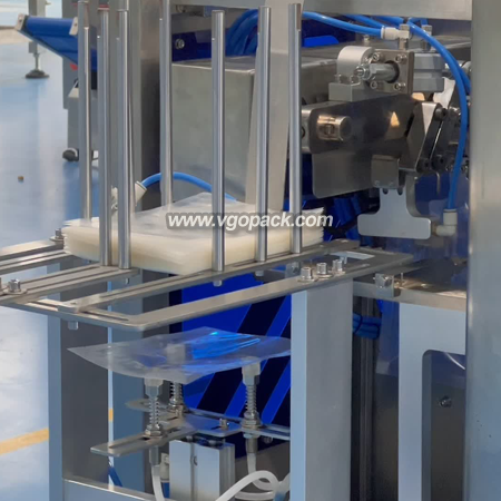 6 Heads Mini Premade Bag Weighing Packing Machine-Grain (4)