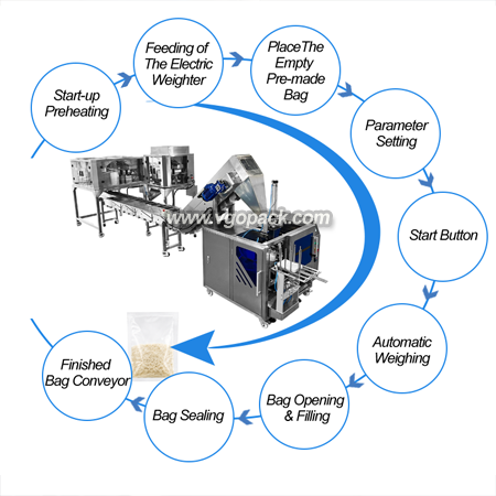 6 Heads Mini Premade Bag Weighing Packing Machine-Grain (9)