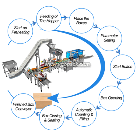 Automatic Box Packing Line-Coffee Cups (2)