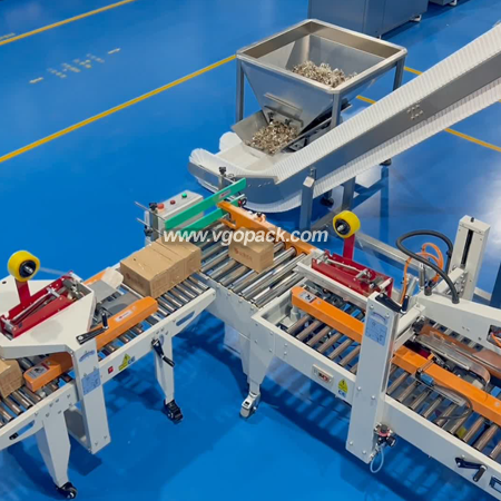 Automatic Box Packing Line-Dates (3)