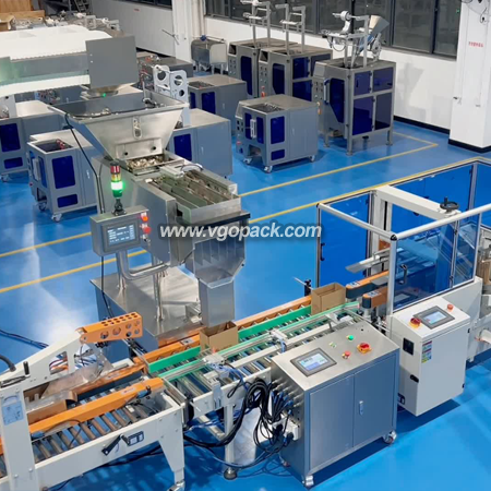 Automatic Box Packing Line-Dates (6)