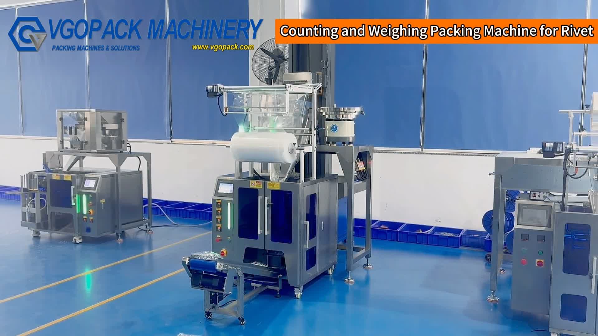Automatic Counting and Weighing Packing Machine for Rivet
