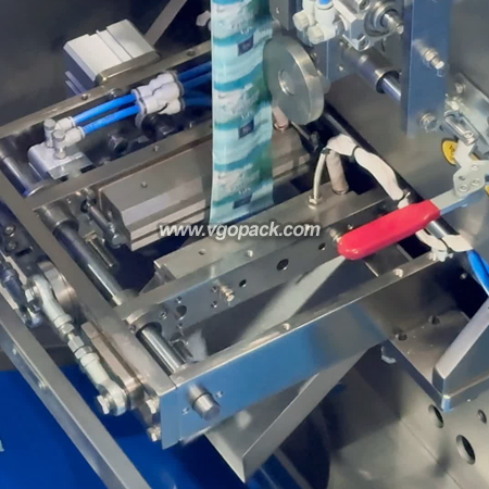 Automatic Volumetric Cup Granule Packing Machine-Bath Salt (6)