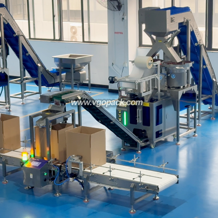 Counting Bagging Machine with Box Packing Line -Dates (2)