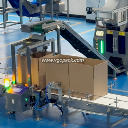 Counting Bagging Machine with Box Packing Line -Dates (3)