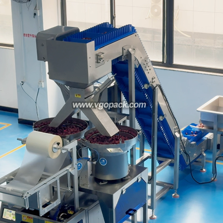 Counting Bagging Machine with Box Packing Line -Dates (4)