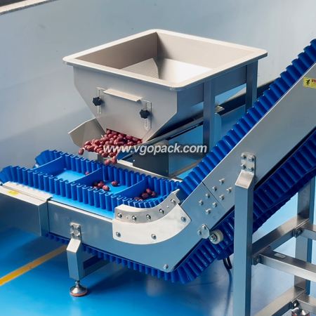 Counting Bagging Machine with Box Packing Line -Dates (5)