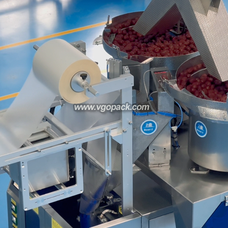 Counting Bagging Machine with Box Packing Line -Dates (6)